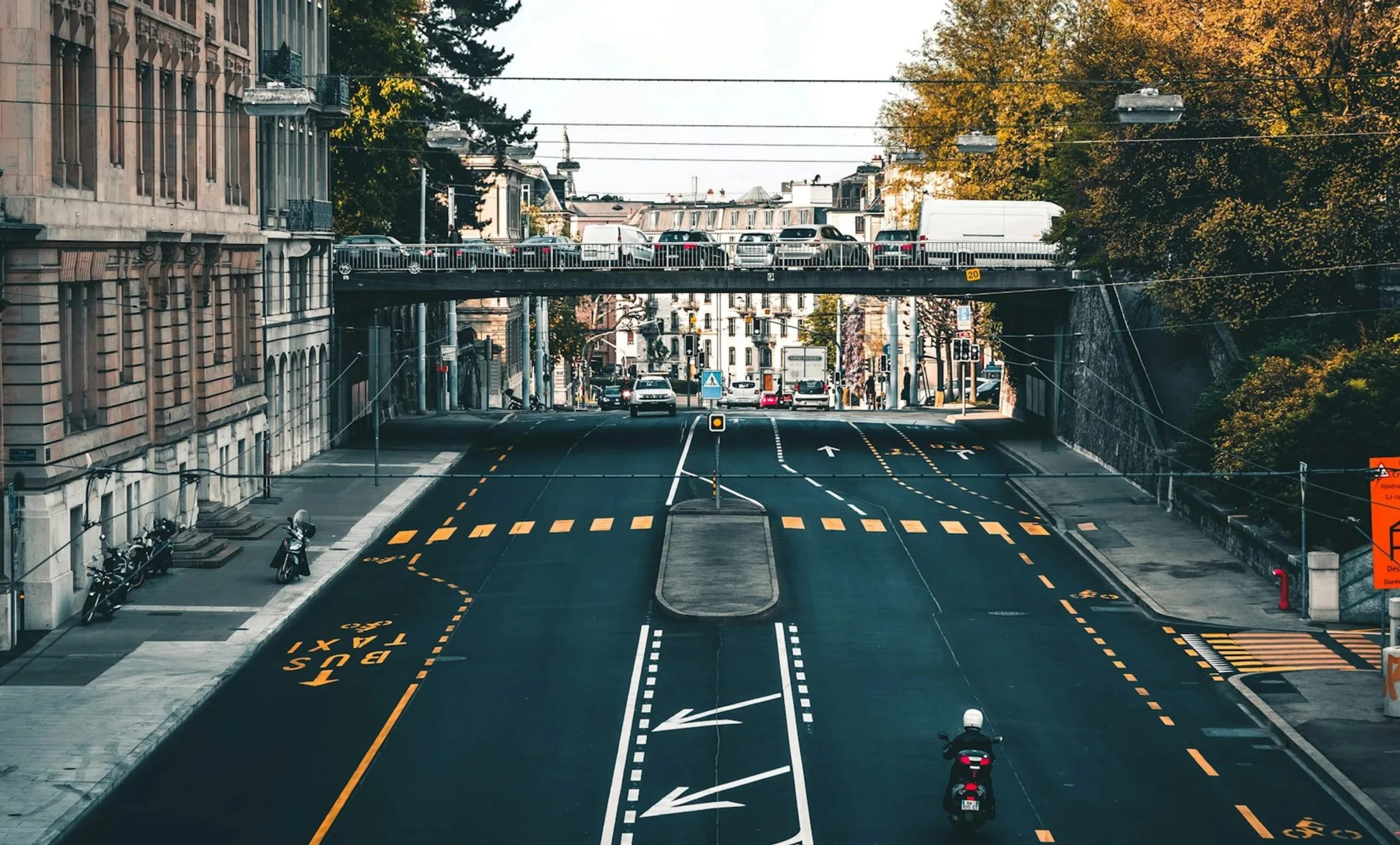 Bivial project image