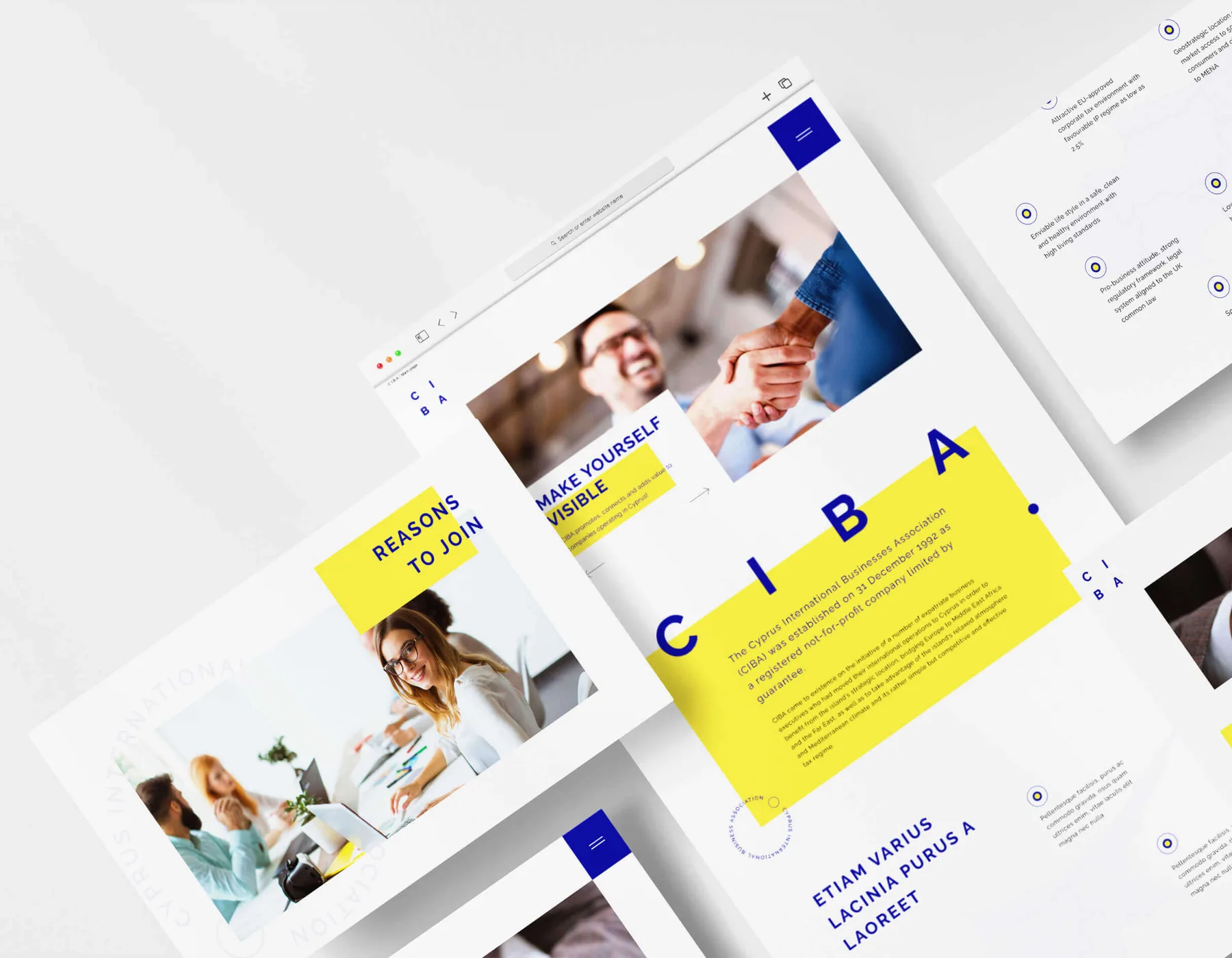 CIBA Website Design (Cyprus) project image