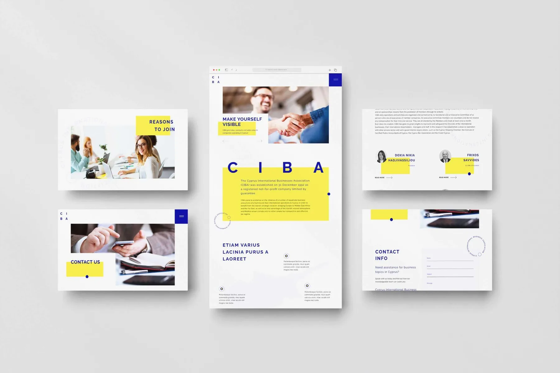 CIBA Website Design (Cyprus) project image