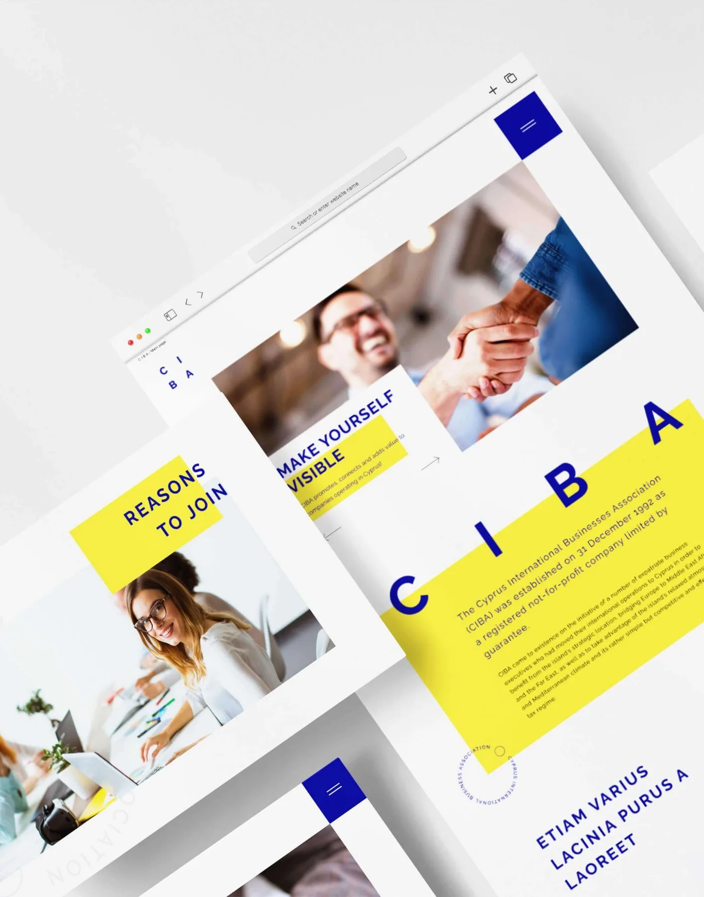 CIBA Website Design (Cyprus) project image