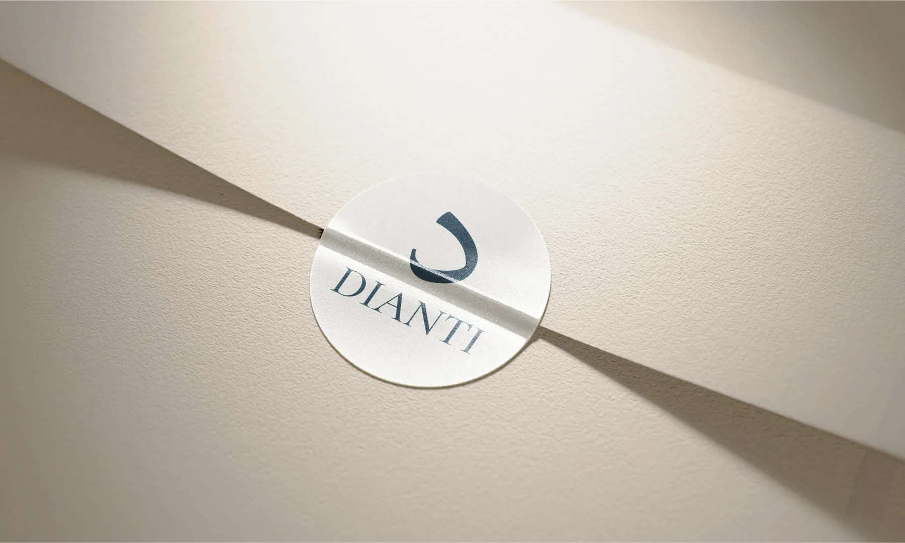 Dianti Luxury Jewellery Brand Identity project image