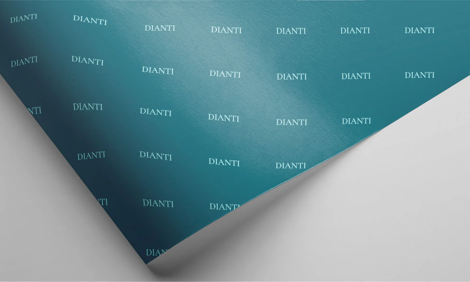 Dianti Luxury Jewellery Brand Identity project image