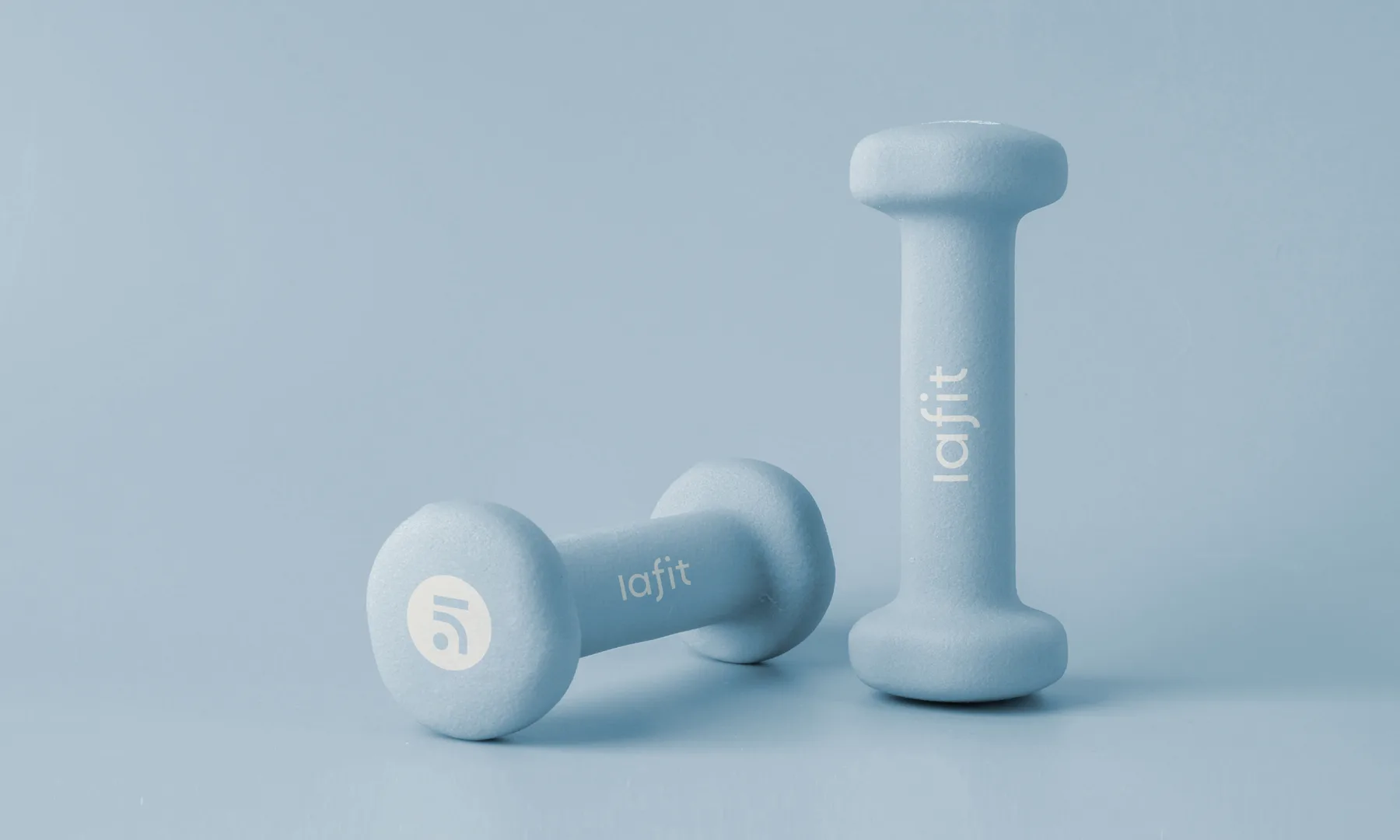 Lafit project image