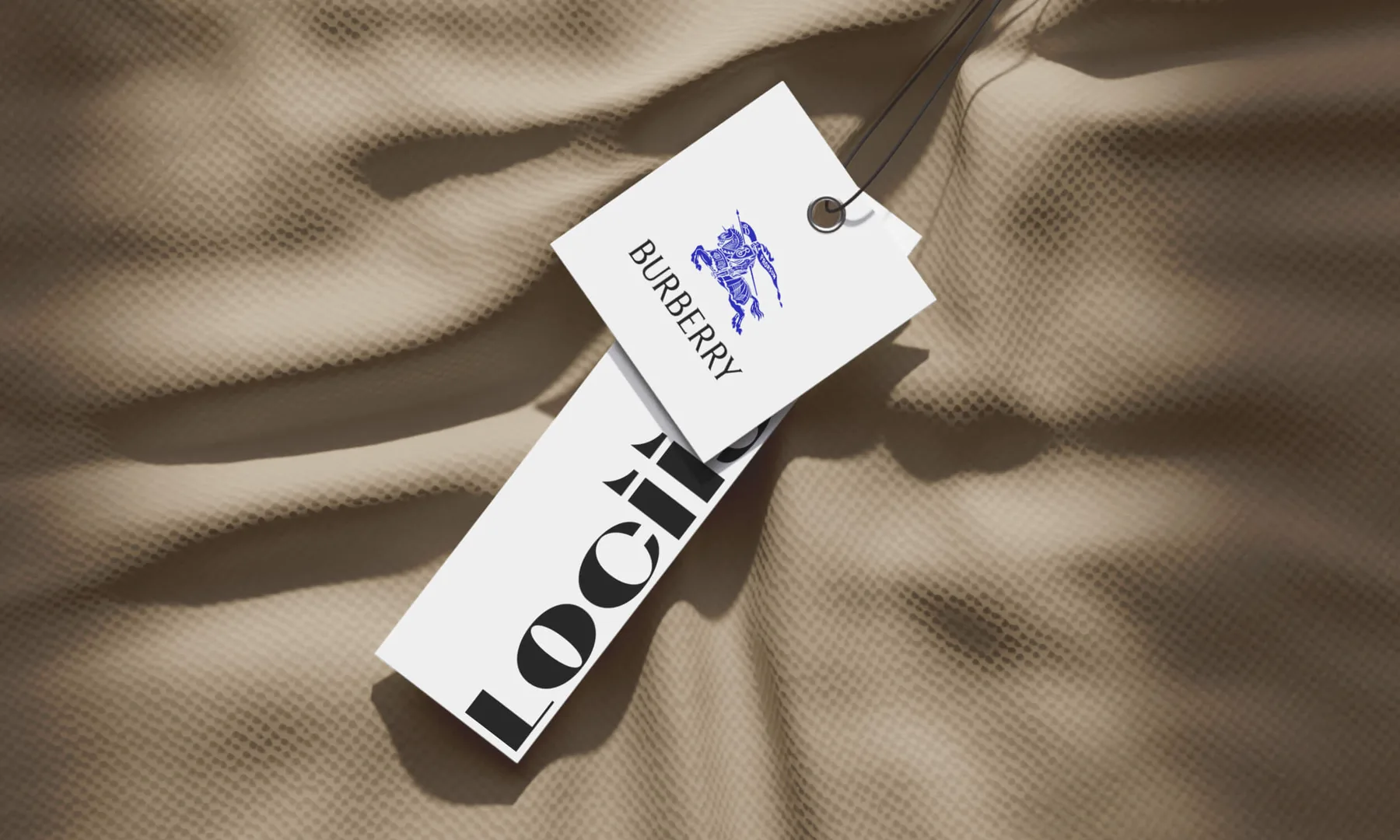 Lociis Brand Identity Design project image