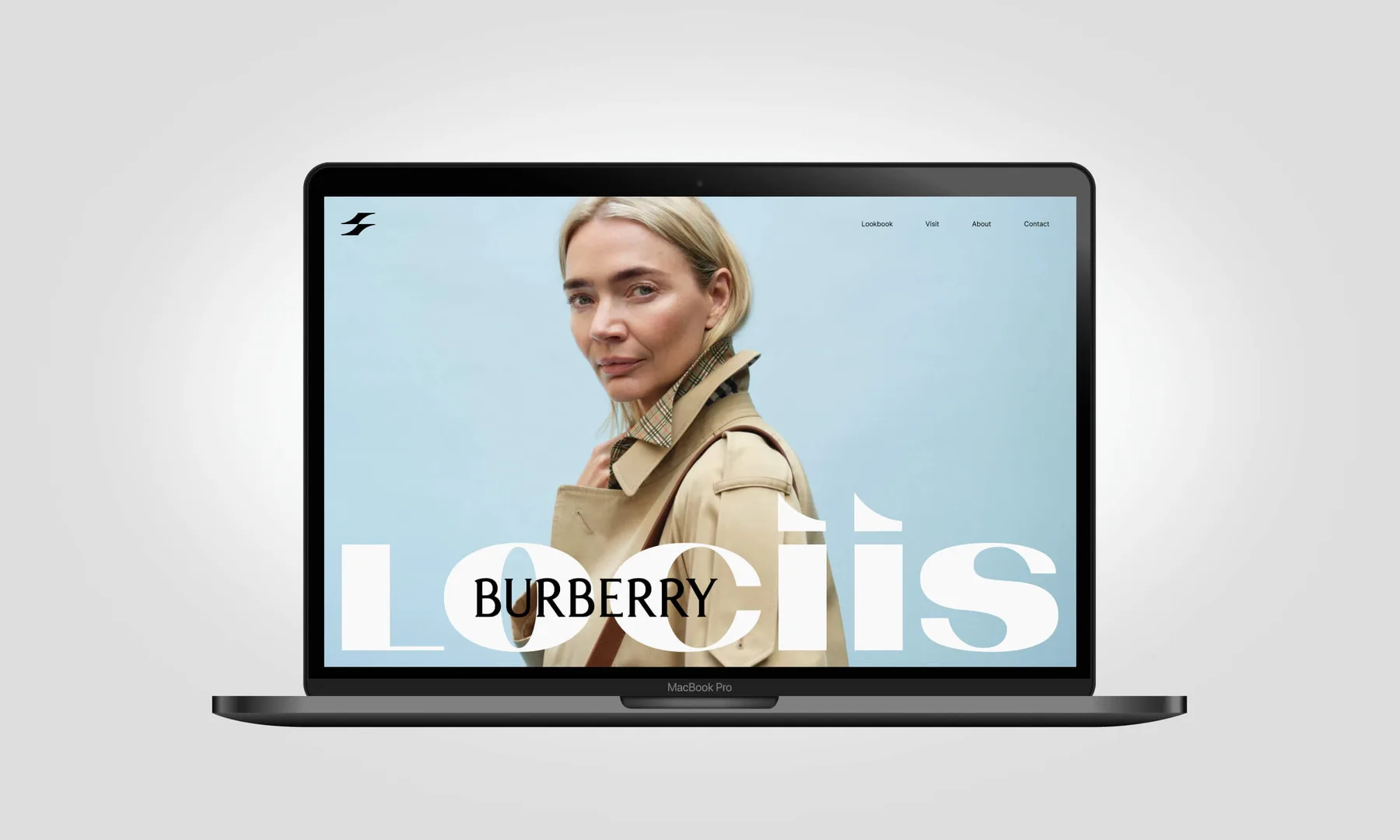Lociis Brand Identity Design project image