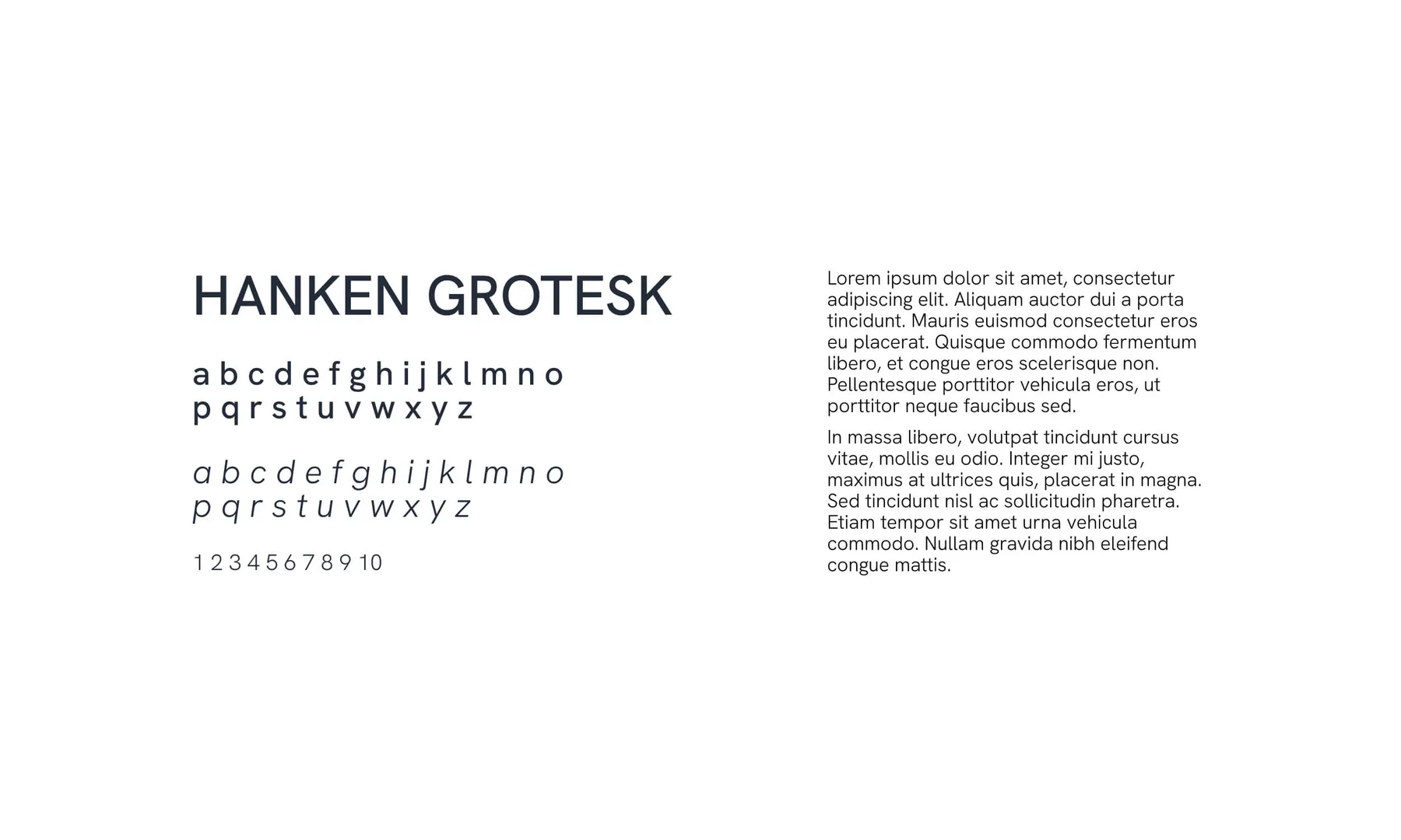 Lociis Brand Identity Design project image