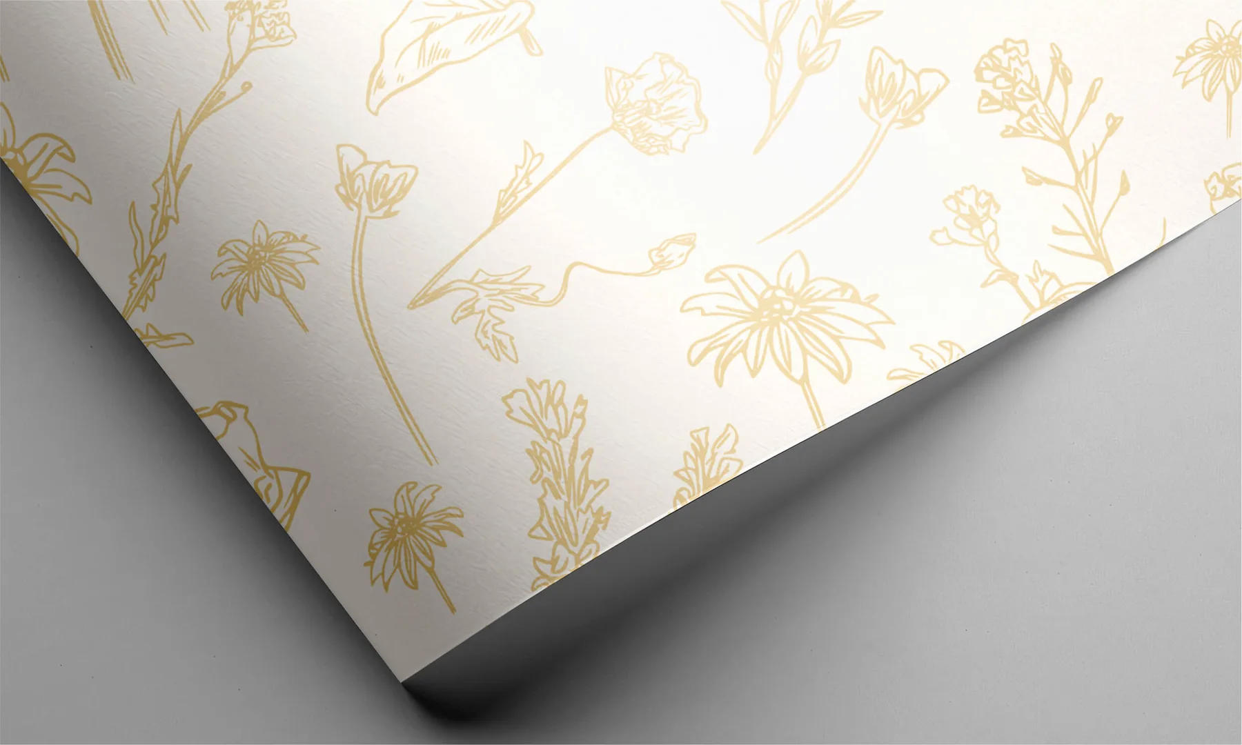 Petit Paris Brand Identity project image
