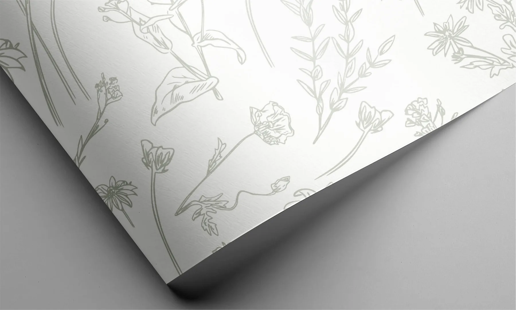 Petit Paris Brand Identity project image