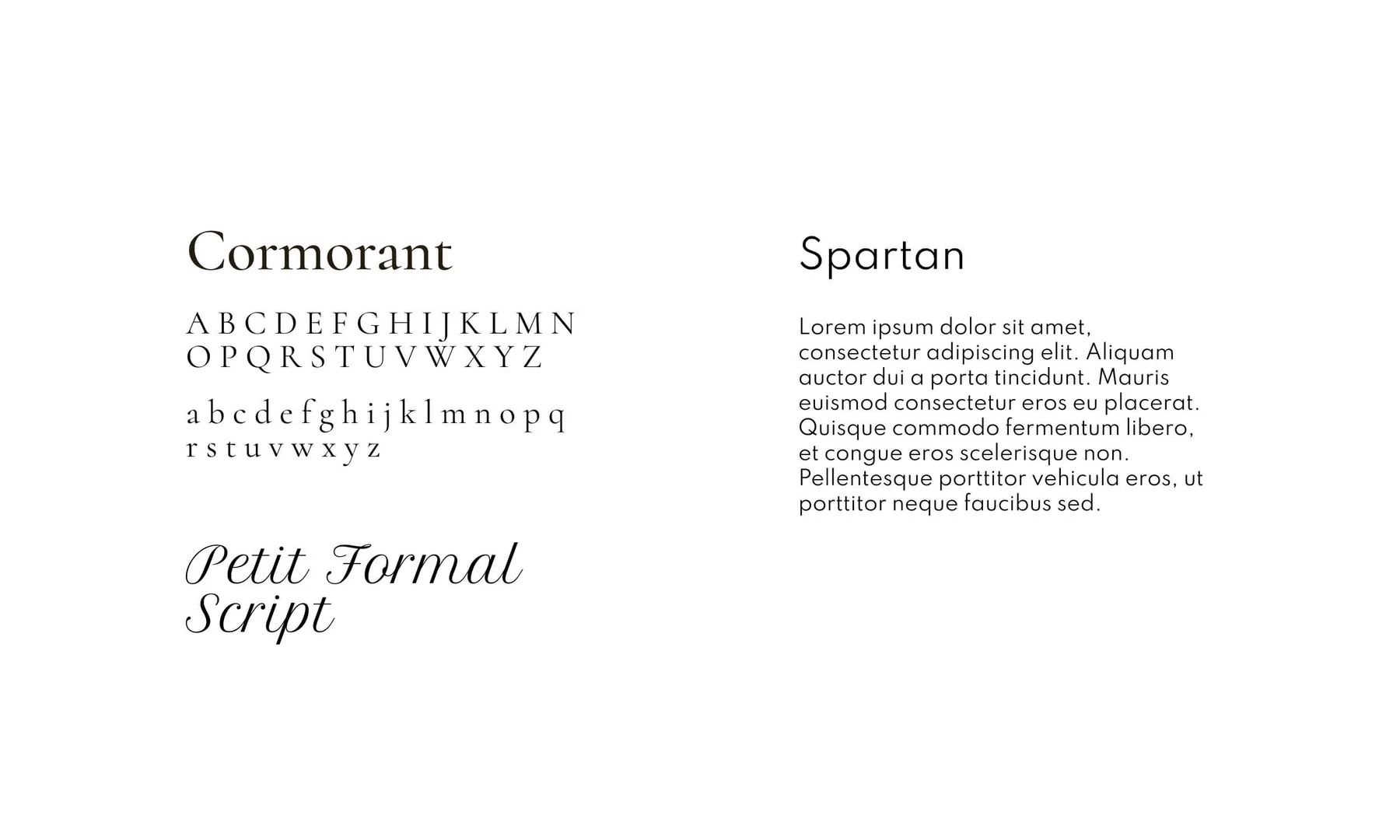 Petit Paris Brand Identity project image