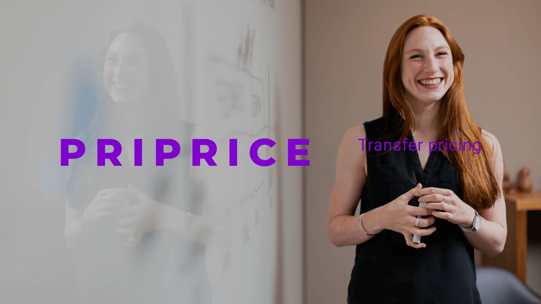 Priprice – Transfer Pricing project image