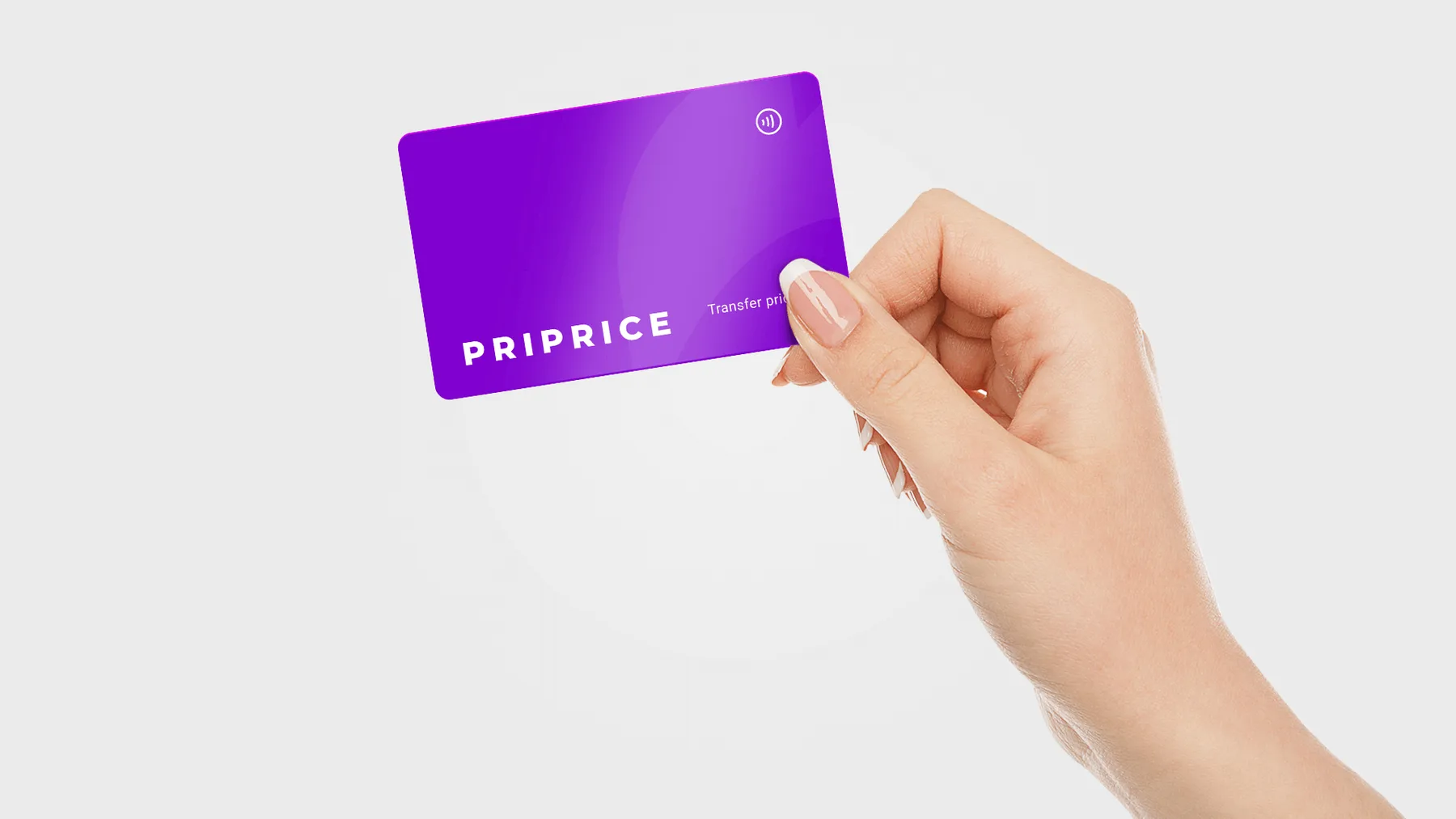 Priprice – Transfer Pricing project image