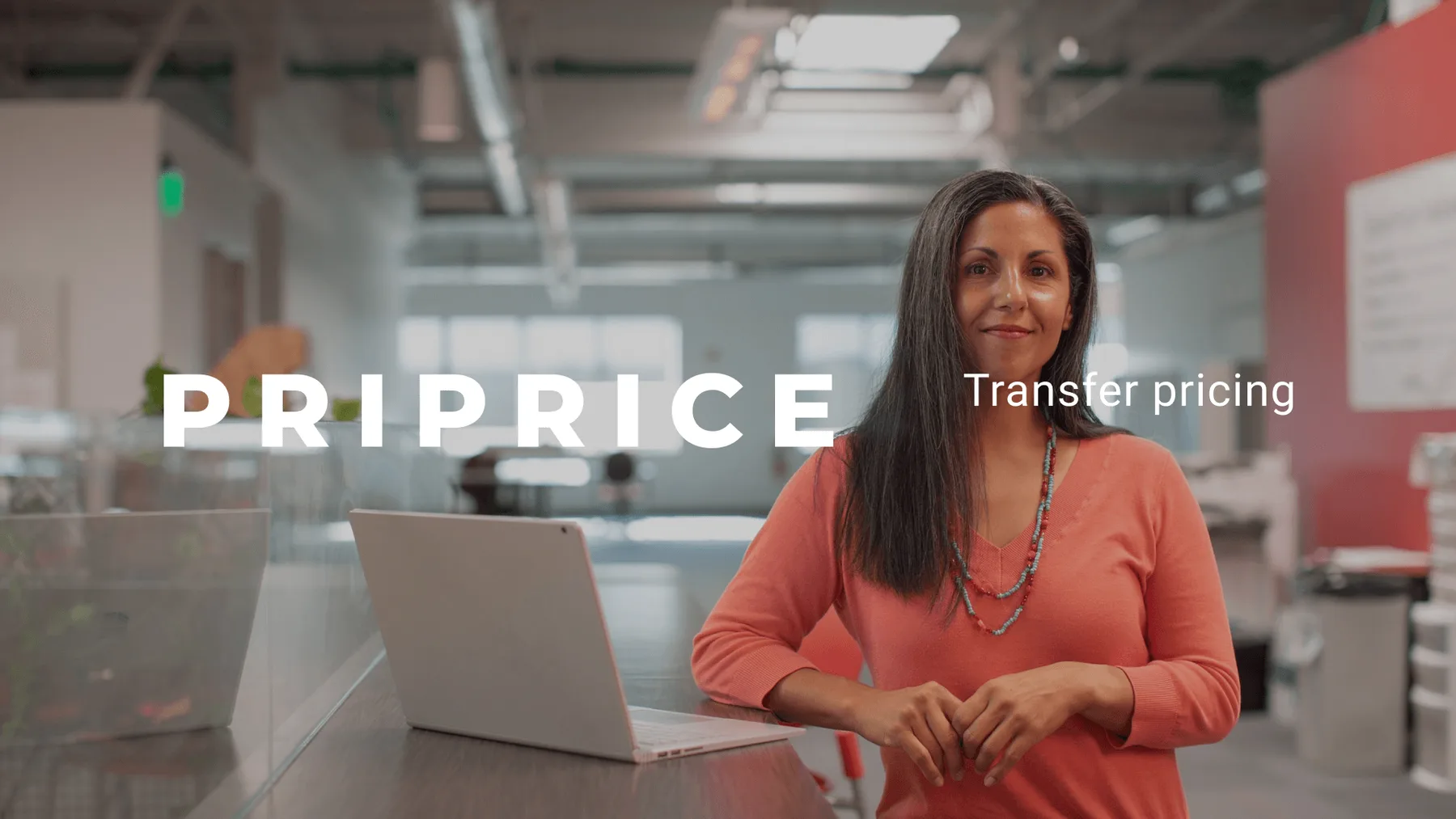 Priprice – Transfer Pricing project image