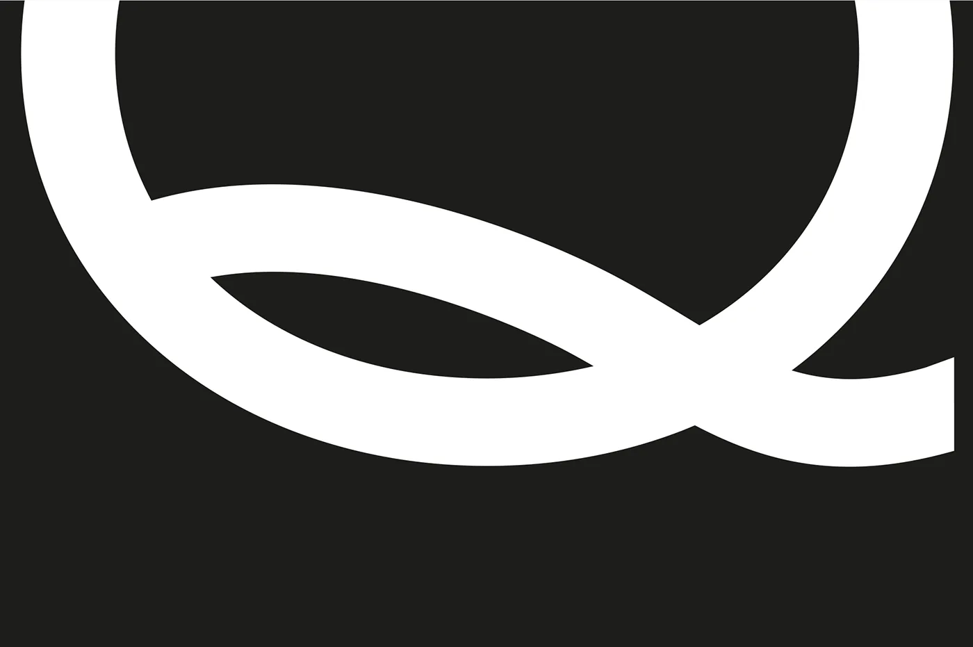 QSpaces branding project image