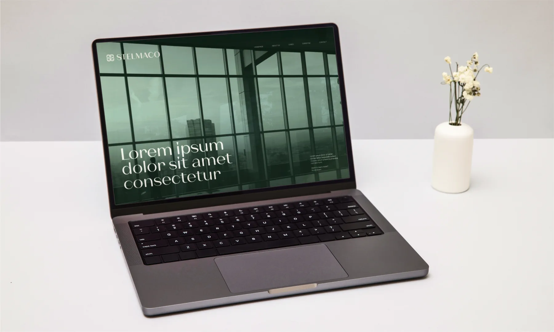 Stelmaco project image