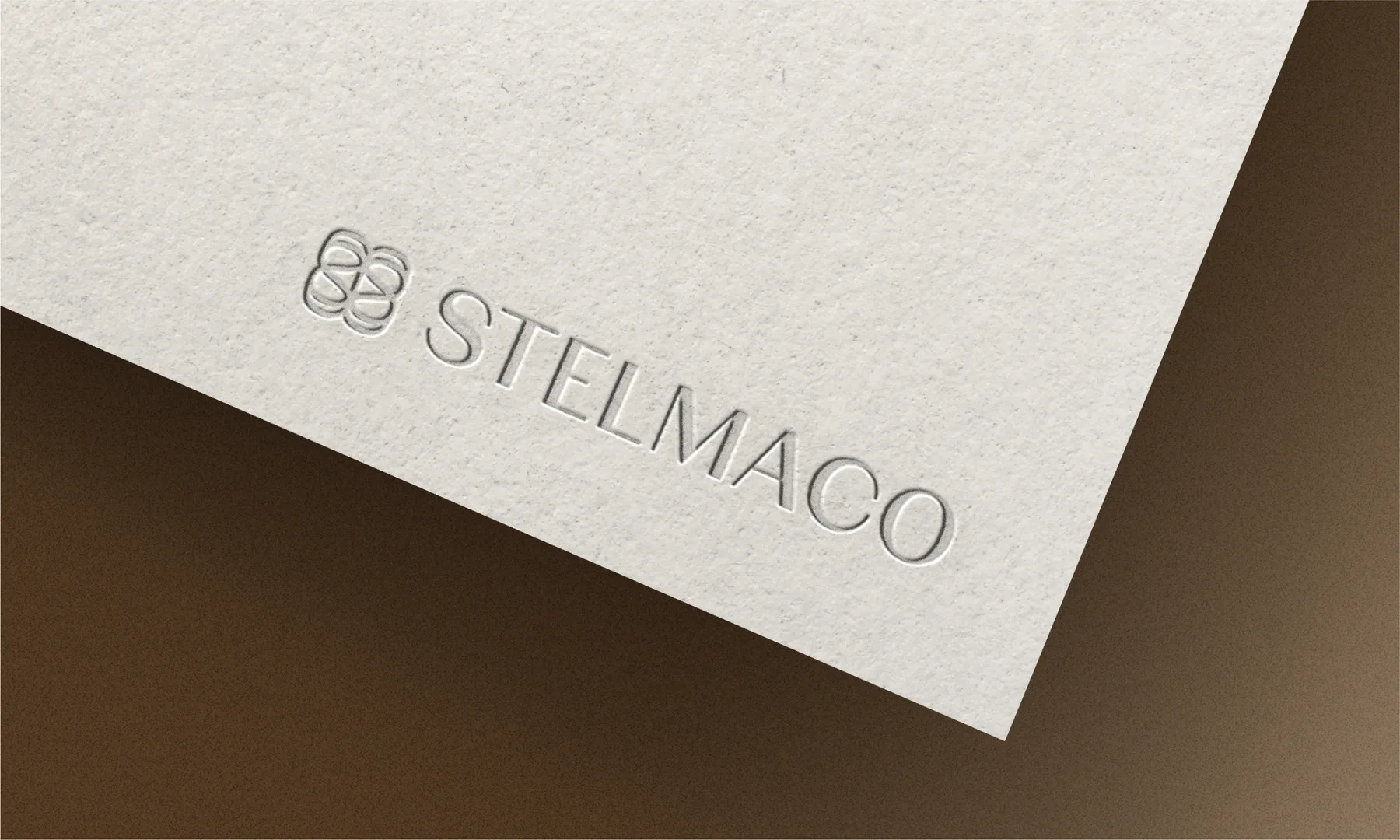 Stelmaco project image
