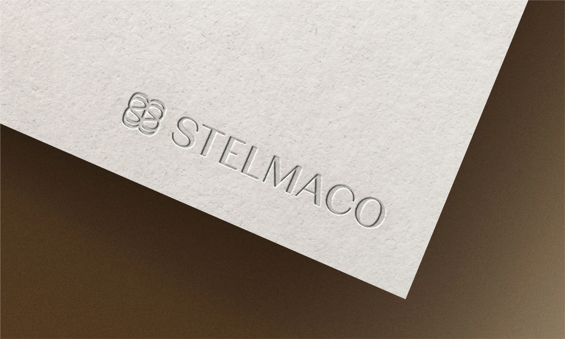 Stelmaco project image