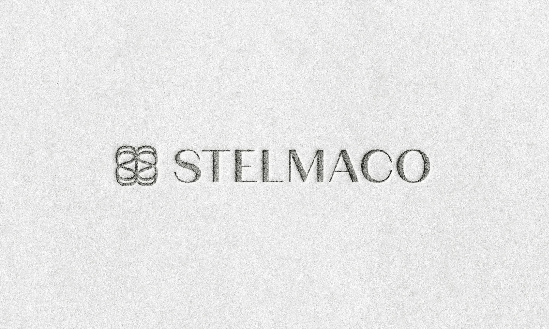 Stelmaco project image