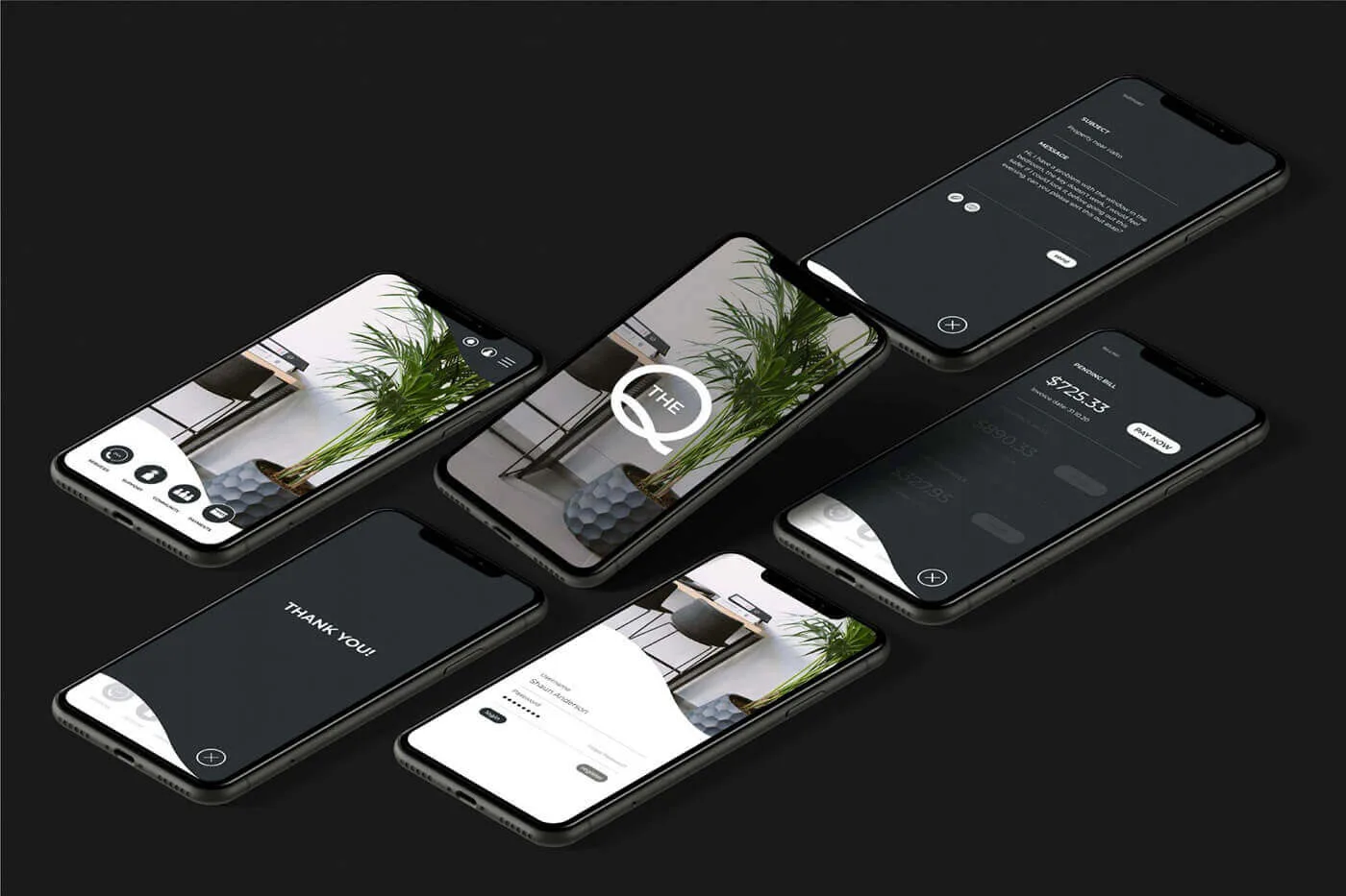 The Q Website & App project image