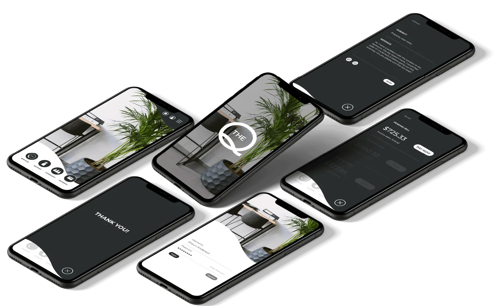 The Q Website & App project image