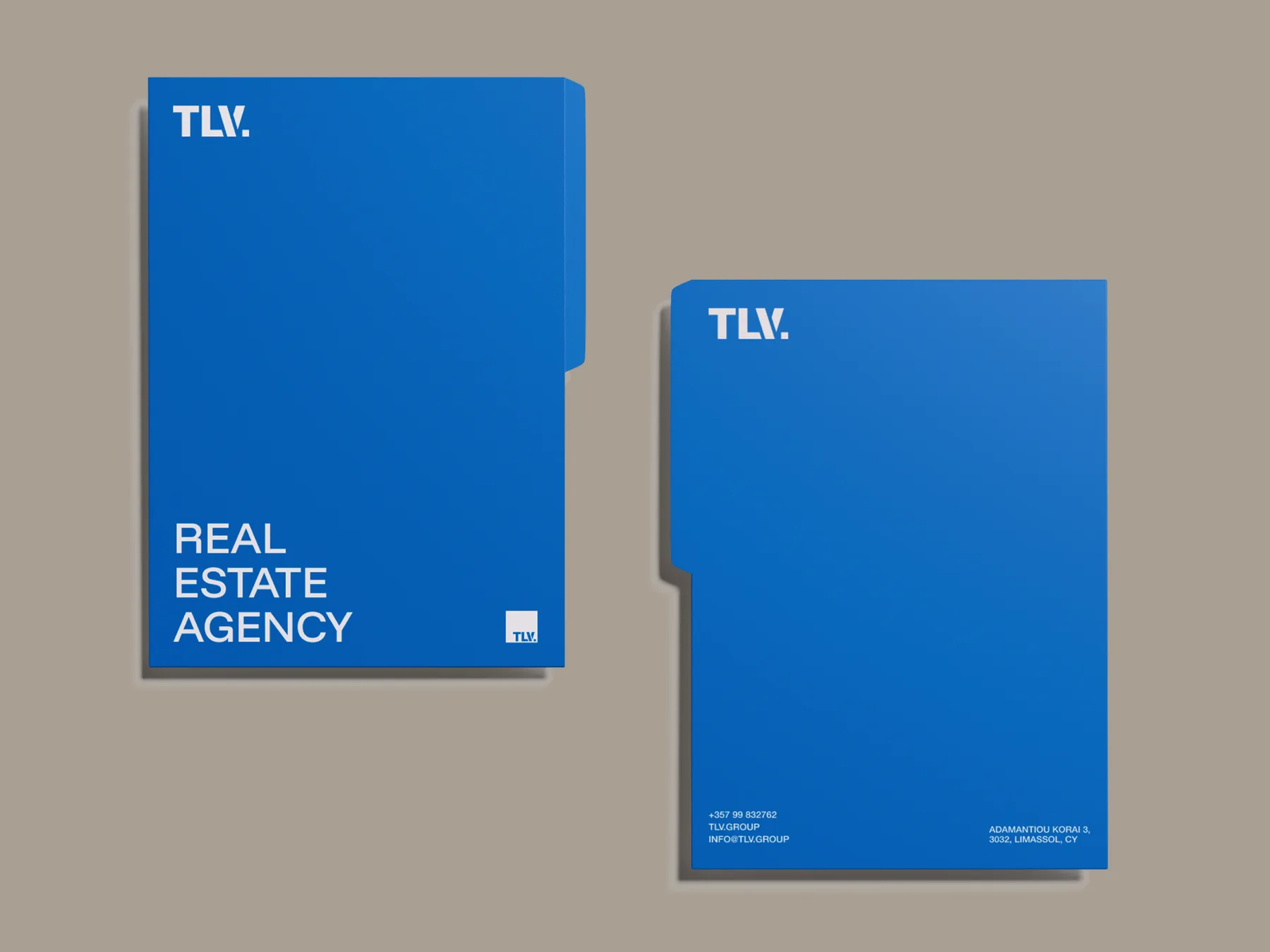 TLV Group project image