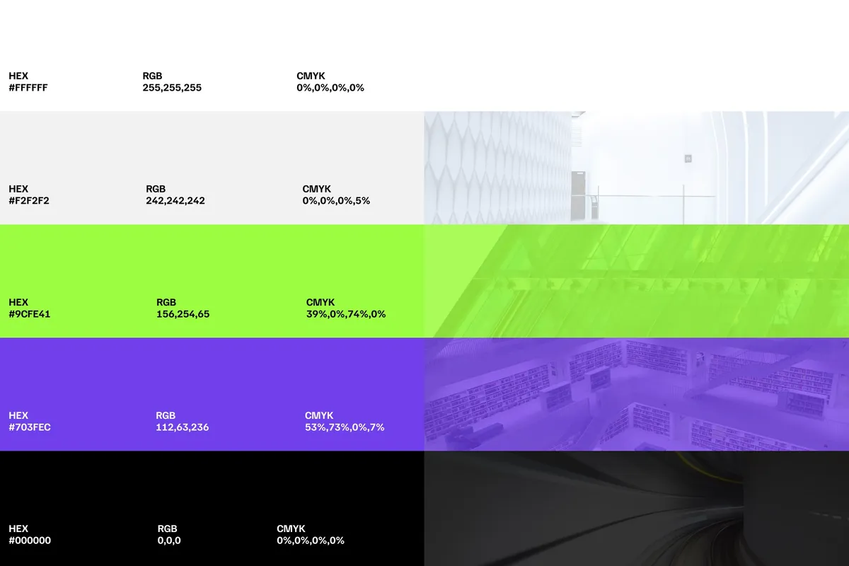 Avasero Brand Identity