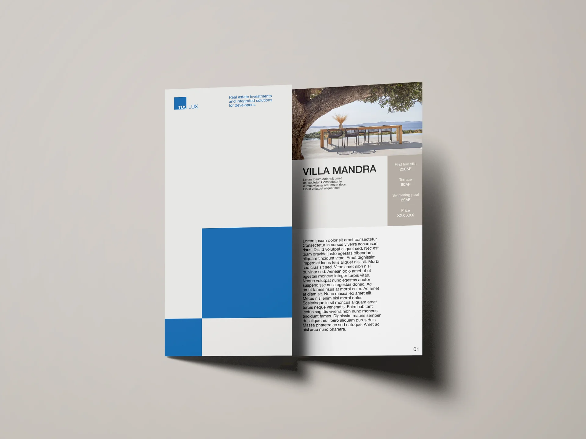 TLV Group real estate brochure with blue accents and building photography